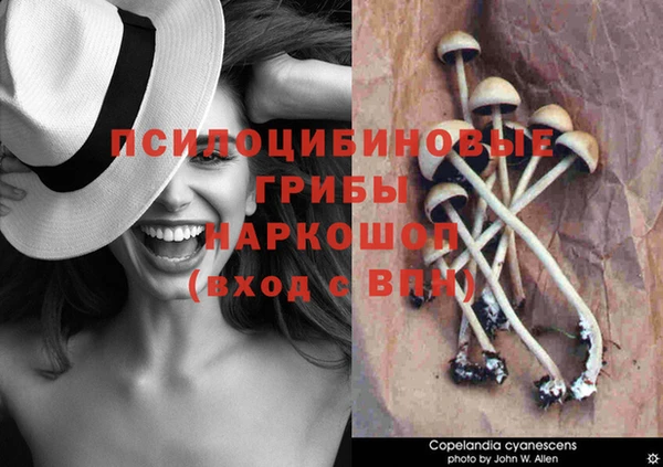 молекула духа Абинск